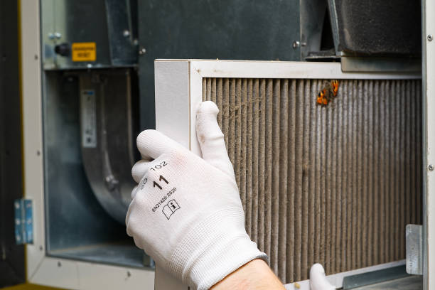 Best Affordable HVAC Duct Cleaning  in Buena, NJ