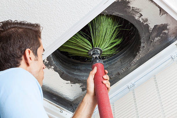 Best Air Duct Cleaning Near Me  in Buena, NJ